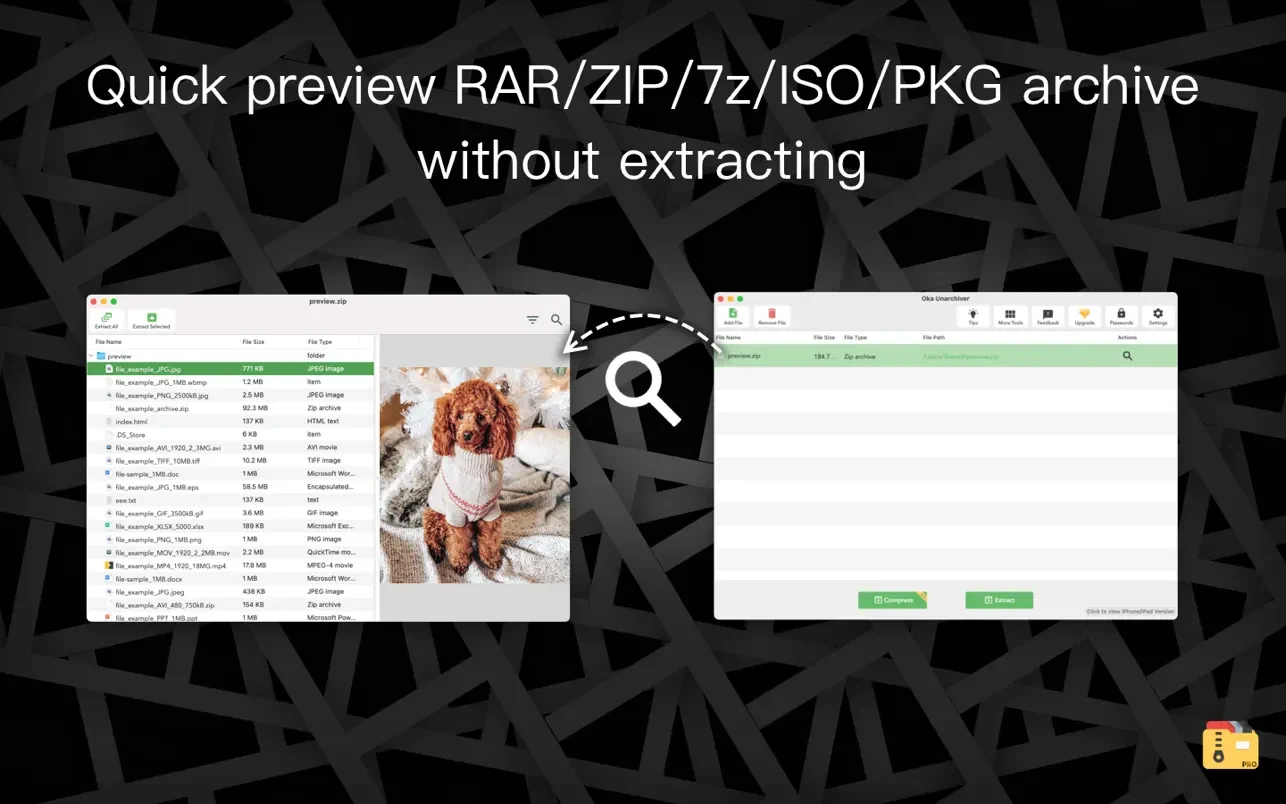 Oka Unarchiver Pro - Unzip RAR screenshot 1